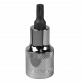 TRX-Star* Socket Bit T30 1/2"Sq Drive SBT020