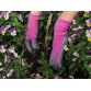 TGL219 Weed Master Ladies' Gloves - One Size T/CTGL219