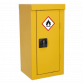 Hazardous Substance Cabinet 350 x 300 x 705mm FSC06