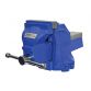 Mechanic's Bench Vice with Anvil 100mm (4in) FAIVM1TN