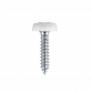 Numberplate Screw Plastic Enclosed Head 4.8 x 24mm White Pack of 50 PTNP5