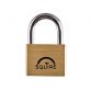 Lion Marine Padlock