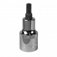 Spline Socket Bit M6 1/2"Sq Drive SBS011