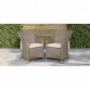 Dellonda Chester Rattan Wicker Garden Dining Chairs with Cushion, Brown DG64