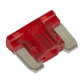 Automotive MICRO Blade Fuse 10A - Pack of 50 MIBF10