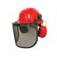 Forestry Helmet Kit SCAPPESHFOR