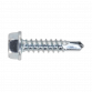 Self-Drilling Screw 4.2 x 19mm Hex Head Zinc Pack of 100 SDHX4219