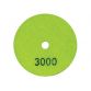 Ceramica Diamond Dry Polishing Disc