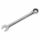 Ratchet Combination Spanner 19mm RCW19