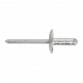 Aluminium Multi-Grip Rivet Large Flange 4.8 x 13mm Pack of 200 RM4813L