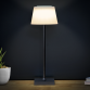 Dellonda Rechargeable Table Lamp for Home Office Restaurant RGB Colours DH212