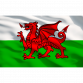 Toolbox Graphics Pack - Wales APTBG03