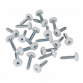 Numberplate Screw Plastic Enclosed Head 4.8 x 24mm White Pack of 50 PTNP5