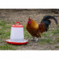 Poultry Feeder 3kg - Pack of 3 AFT033