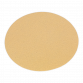 Sanding Disc Ø150mm 80Grit Adhesive Backed SSD02