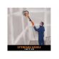 R225DWS Telescopic Dry Wall Sander 710W 240V EVLR225DWS