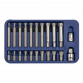 Ribe Bit Set 22pc 3/8" & 1/2"Sq Drive SX105