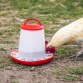 Poultry Feeder 3kg - Pack of 3 AFT033
