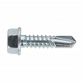 Self-Drilling Screw 6.3 x 25mm Hex Head Zinc Pack of 100 SDHX6325