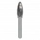Tungsten Carbide Rotary Burr Flame Ripper/Coarse SDBC5