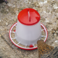 Poultry Feeder 1.5kg - Pack of 5 AFT025