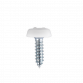 Numberplate Screw Plastic Enclosed Head 4.8 x 18mm White Pack of 50 PTNP1