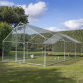 Dellonda 3 x 6 x 2m Walk-In Chicken Run, Galvanized Steel, Roof Cover, PVC Coated Chicken Wire DG280