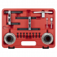 Petrol Engine Timing Tool Kit for Ford 1.0/1.1 EcoBoost - Belt Drive VSE6261