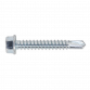 Self-Drilling Screw 5.5 x 38mm Hex Head Zinc Pack of 100 SDHX5538