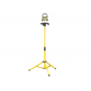 2000 Lumen Single Site Light