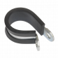 P-Clip Rubber Lined Ø25mm Pack of 25 PCJ25
