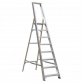 Aluminium Step Ladder 8-Tread Industrial BS 2037/1 AXL8