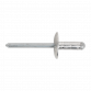 Aluminium Multi-Grip Rivet Large Flange 4.8 x 27mm Pack of 100 RM4827L
