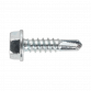 Self-Drilling Screw 4.8 x 19mm Hex Head Zinc Pack of 100 SDHX4819