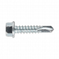 Self-Drilling Screw 5.5 x 25mm Hex Head Zinc Pack of 100 SDHX5525