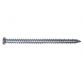 Concrete Frame Screw