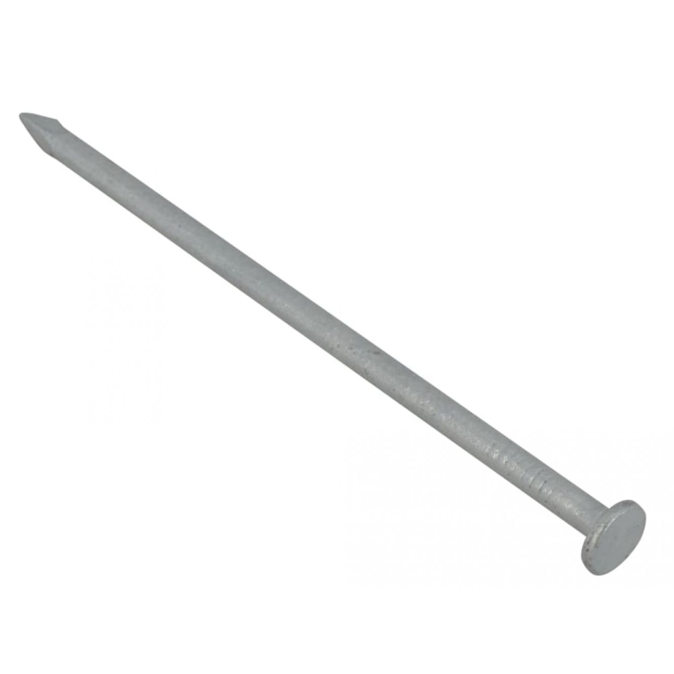 Batten Nails Galvanised 65 x 2.65mm (2.5kg Bag) FORB65GB212