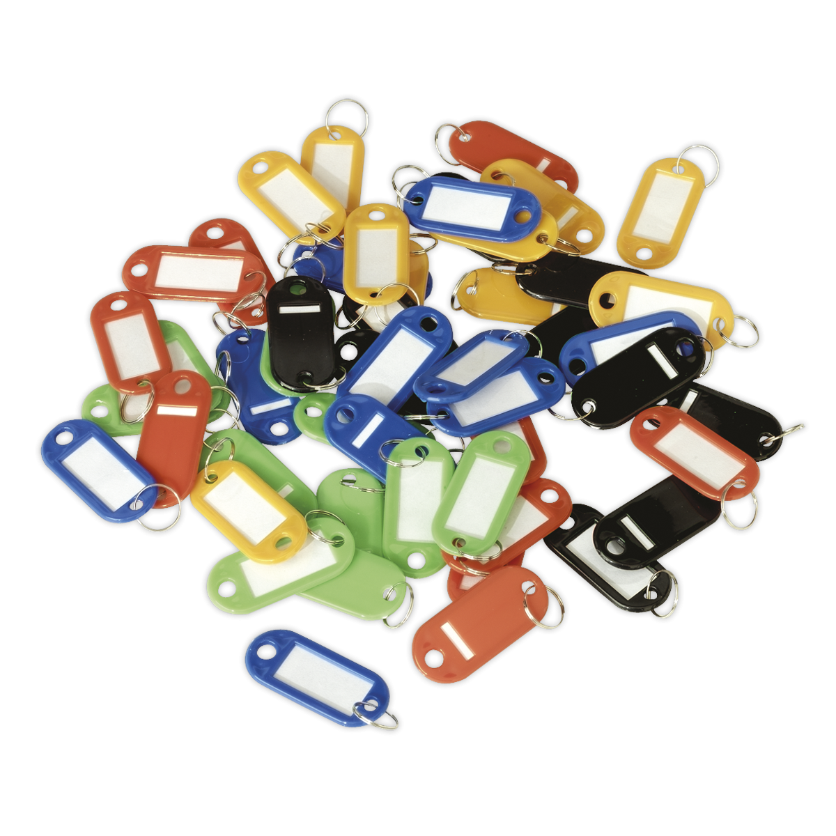 Key Tag Assortment 50pc SKTAG50