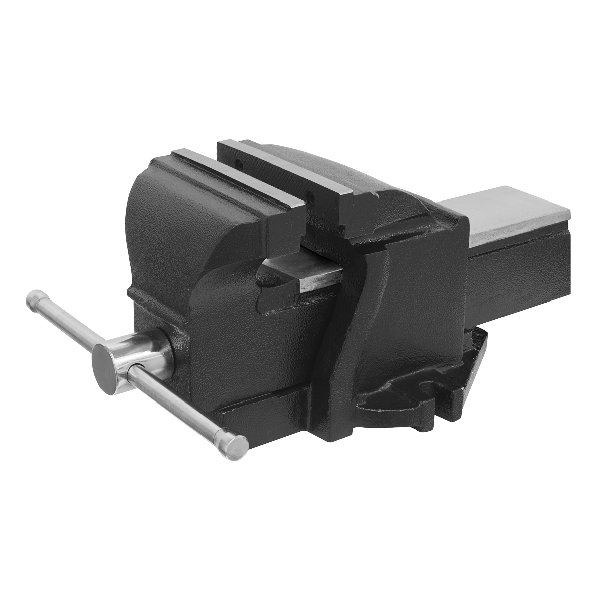 Professional Mechanic's Vice 200mm SG Iron USV200