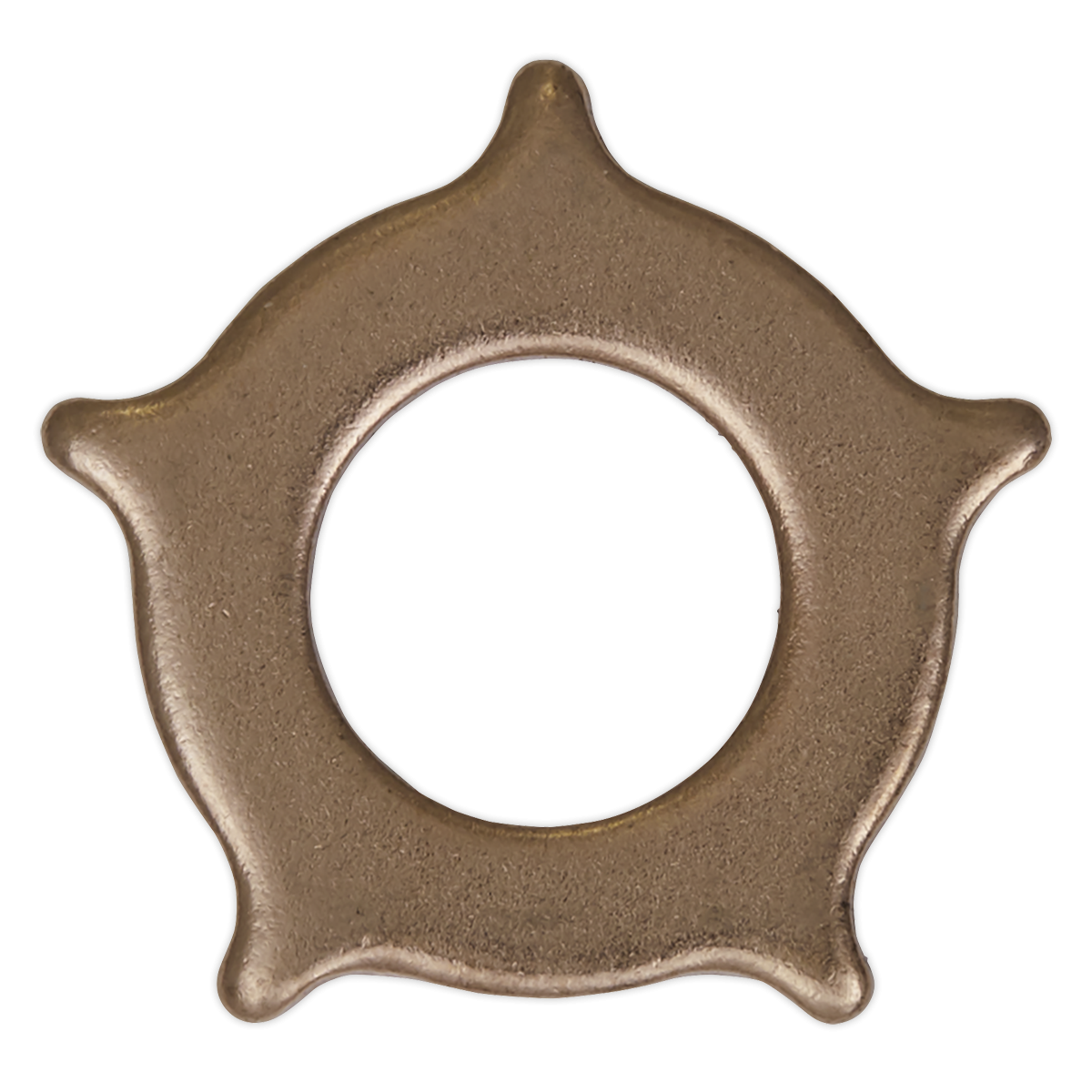 Star Washer for SR2000 Pack of 10 SR2000.SW