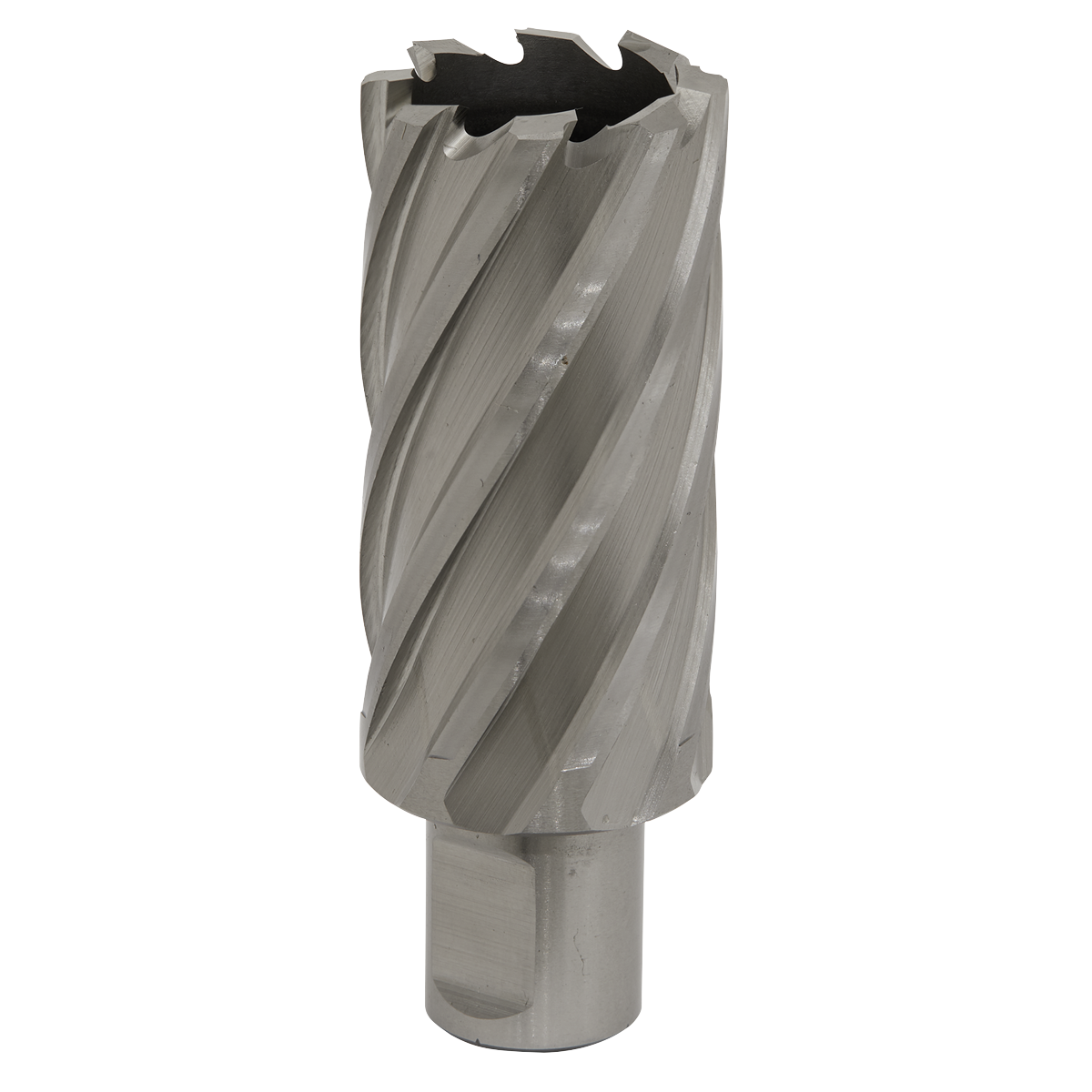 Rotabor Cutter HSS Ø31mm - Cut Depth 50mm RBHSS31L