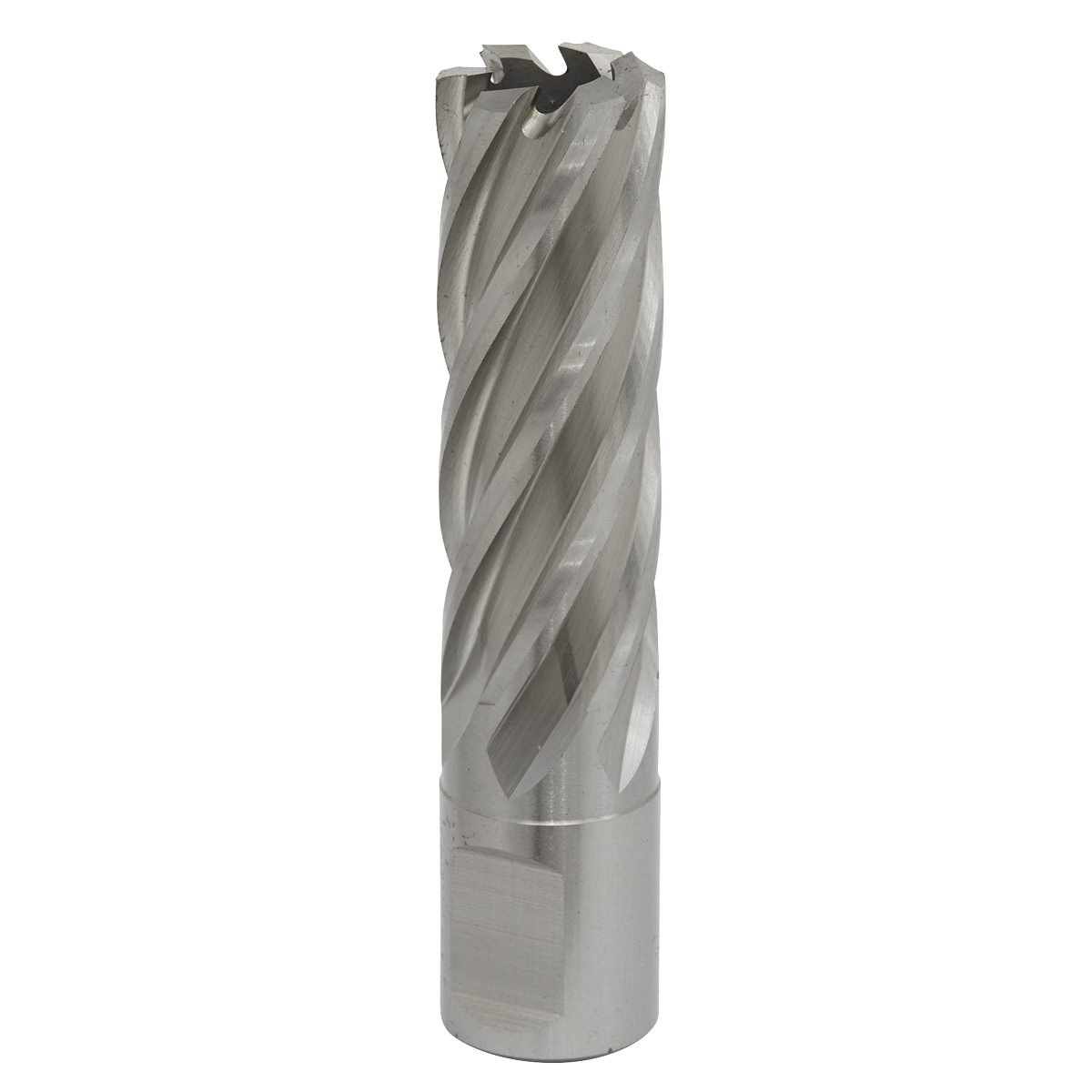 Rotabor Cutter HSS Ø19mm - Cut Depth 50mm RBHSS19L