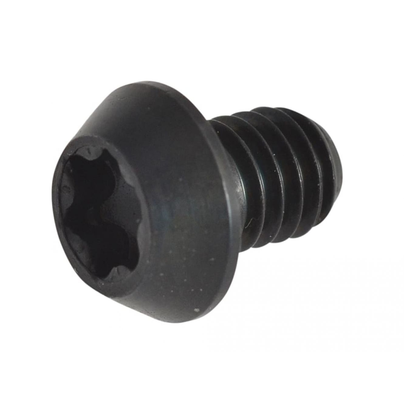 RT/3.5 TORX Replacement Screws TRERT35