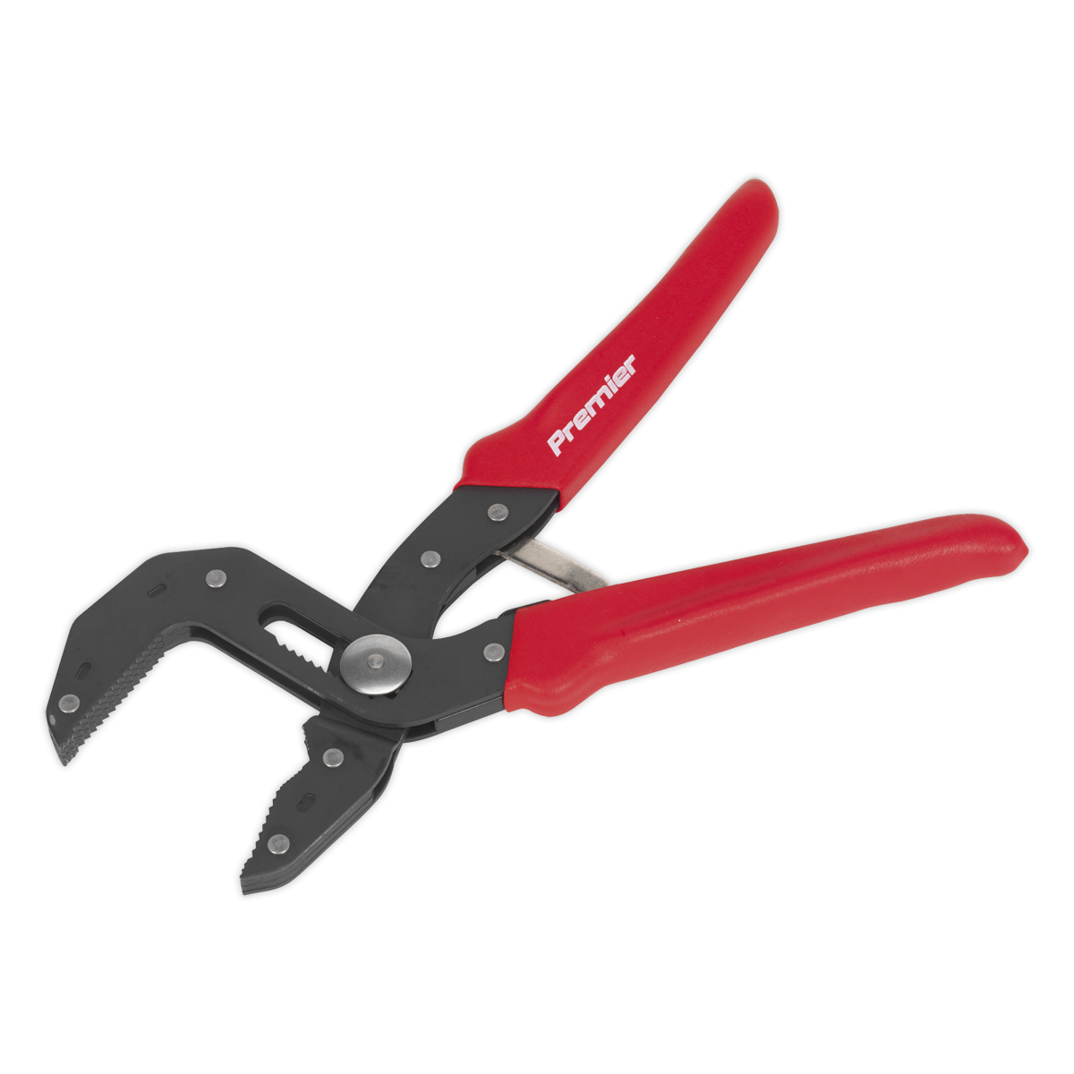 Pliers Multi-Grip Self-Adjusting 250mm AK8536