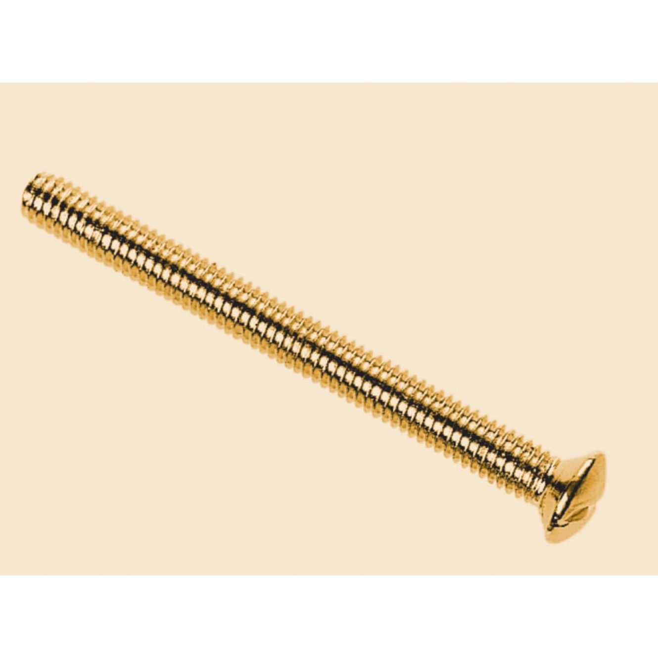Switch/Socket Plate Screws, Brass