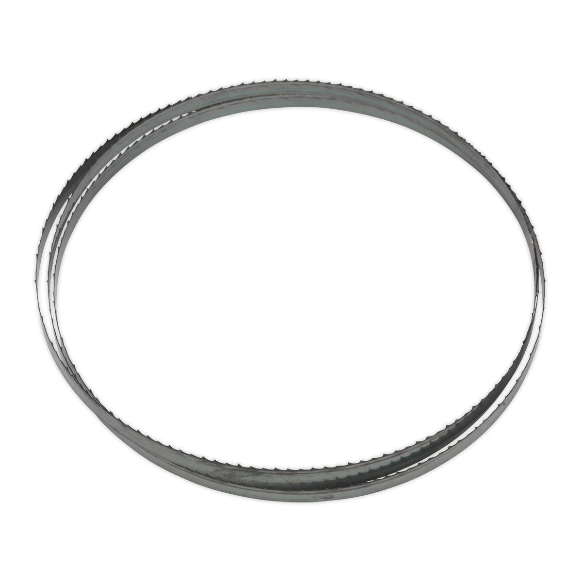 Bandsaw Blade 1712 x 10 x 0.35mm 6tpi SM1304B06