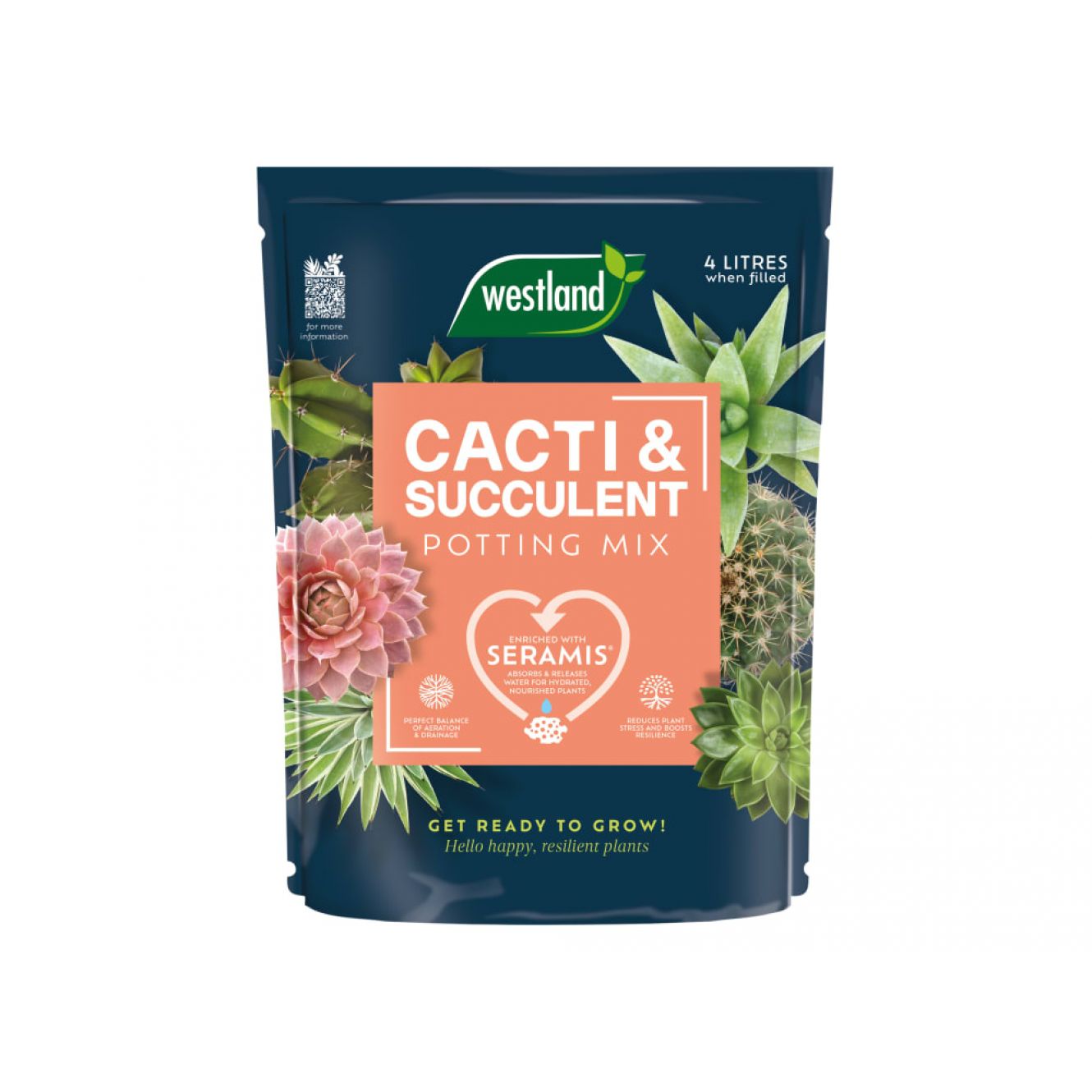 Cacti & Succulent Potting Mix 4 litre WLD10200094