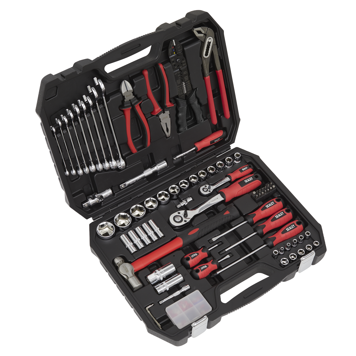 Mechanic's Tool Kit 100pc AK7400