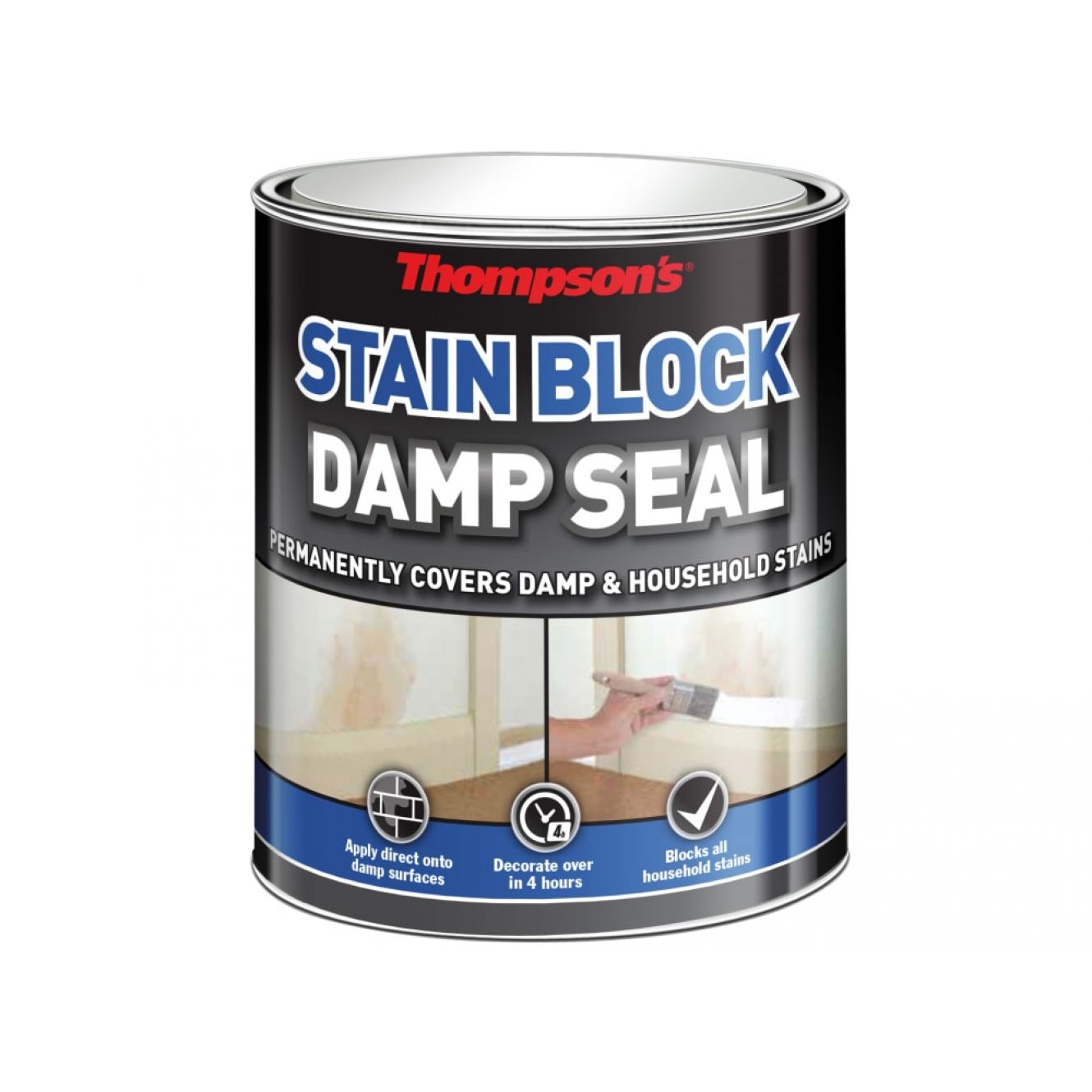 Thompson's Damp Seal