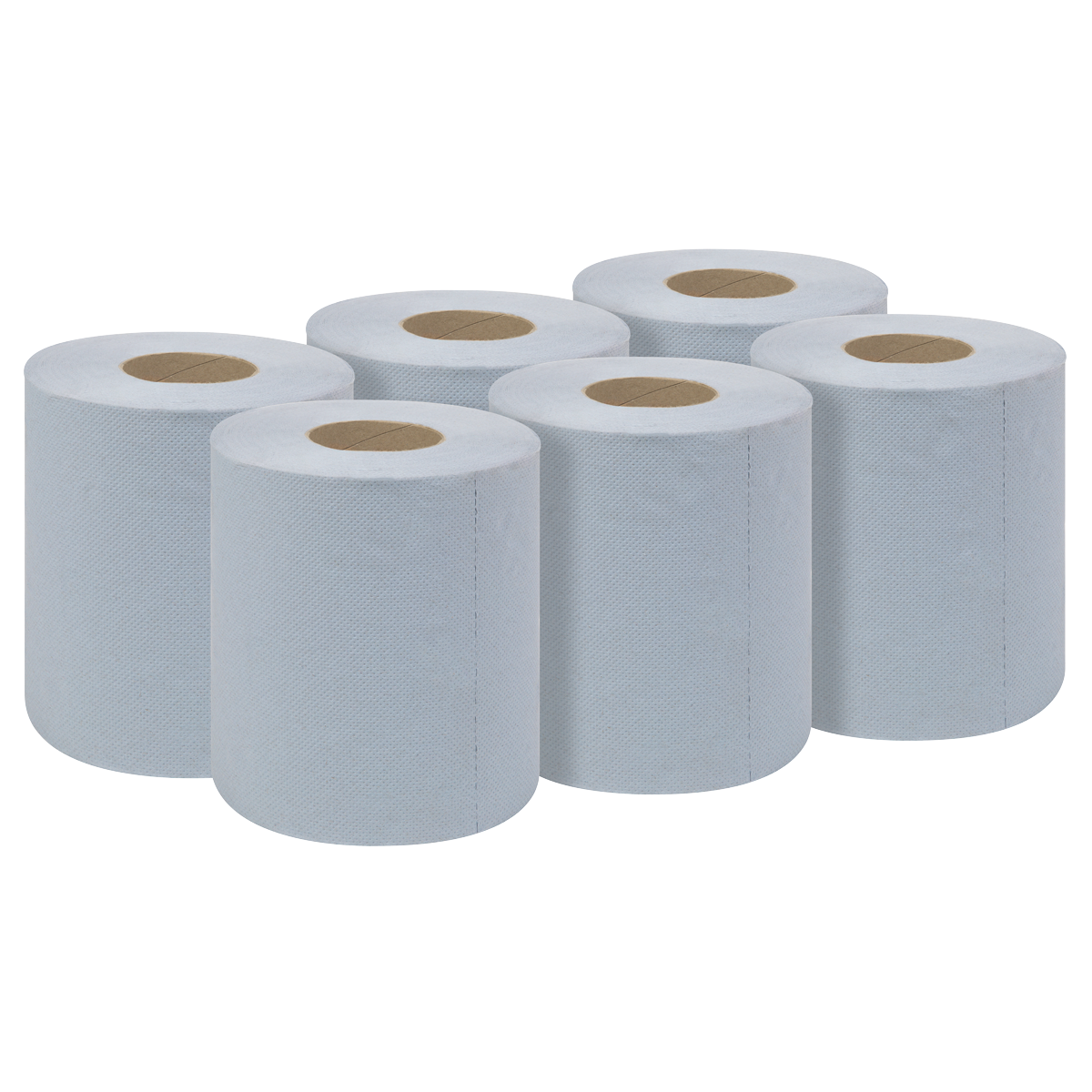 Blue Embossed 2-Ply Paper Roll 60m - Pack of 6 BLU60